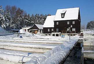 Gawrych Ruda Gawrych Ruda