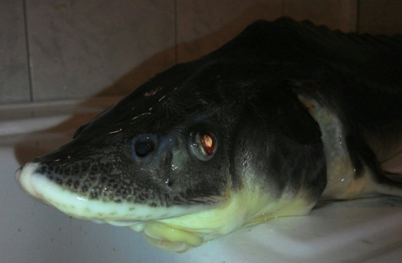 PZW w Suwałkach PZW w Suwałkach