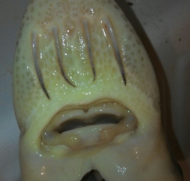 PZW w Suwałkach PZW w Suwałkach