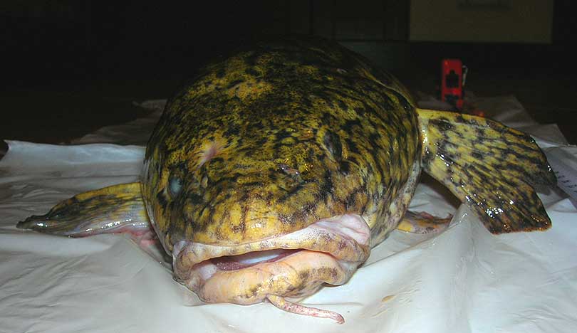 PZW w Suwałkach PZW w Suwałkach