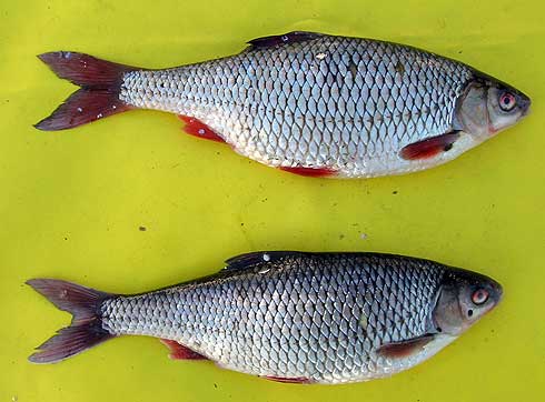 PZW w Suwałkach PZW w Suwałkach