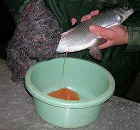 PZW w Suwałkach PZW w Suwałkach