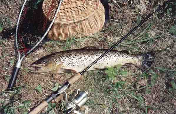 PZW w Suwałkach PZW w Suwałkach