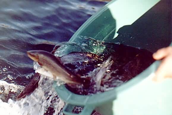 PZW w Suwałkach PZW w Suwałkach