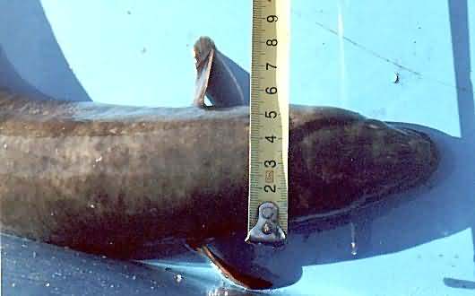 PZW w Suwałkach PZW w Suwałkach