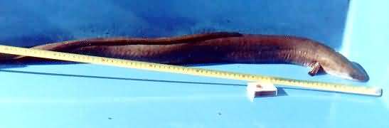 PZW w Suwałkach PZW w Suwałkach